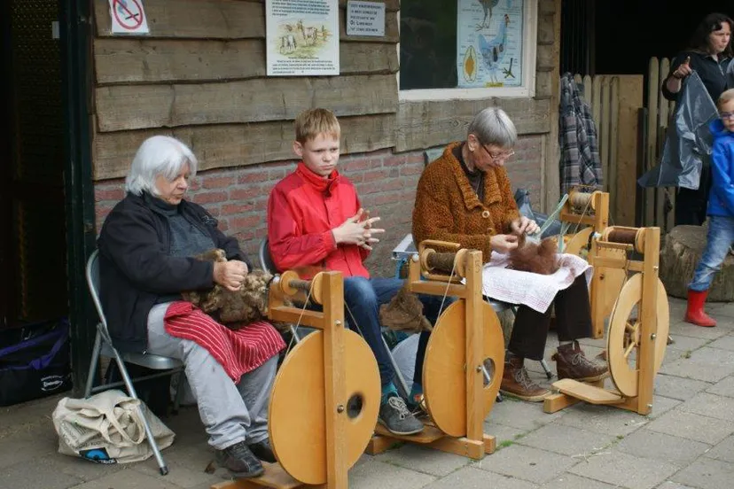 kasteelpark 0 wol spinnen 2016