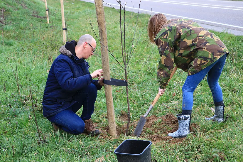 kay hudales geleen fruitbomen 4