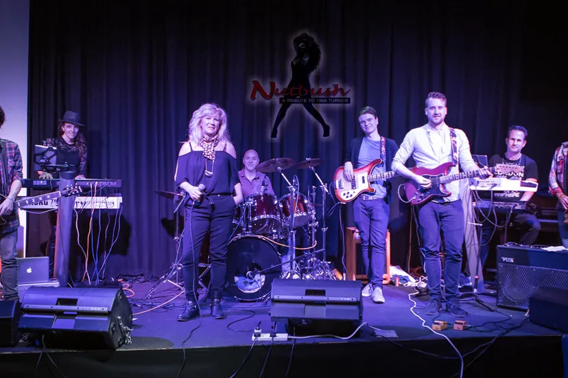 ke3a7085 bewerkt nutbush tina turner