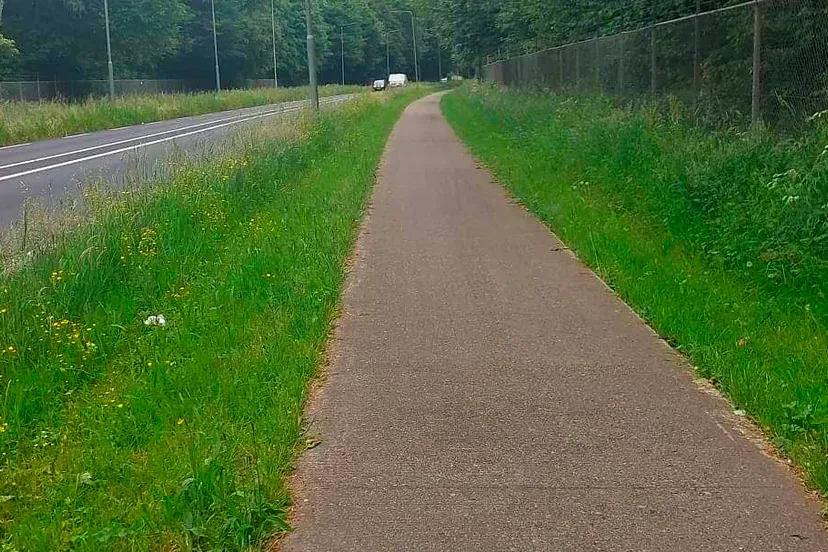 kerenshofweg tussen stein en geleen