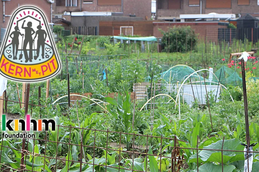 kern met pit 2021 mooshofke geleen lindenheuvel