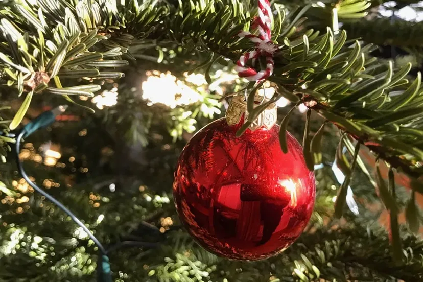 kerstbal in kerstboom sgn