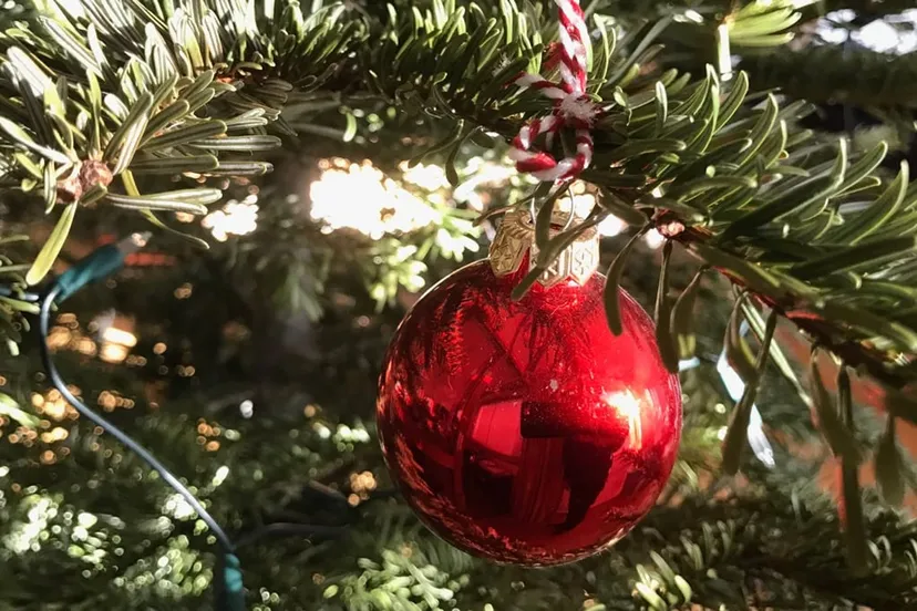 kerstboom met kerstbal