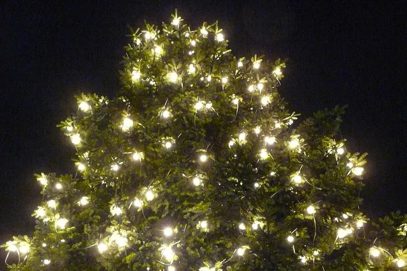 kerstboom met lampjes