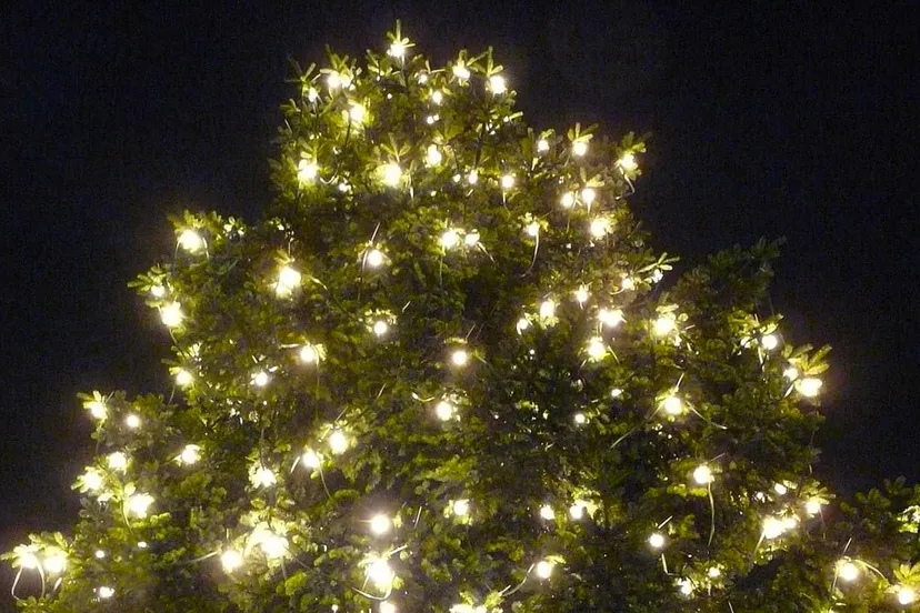 kerstboom met lampjes