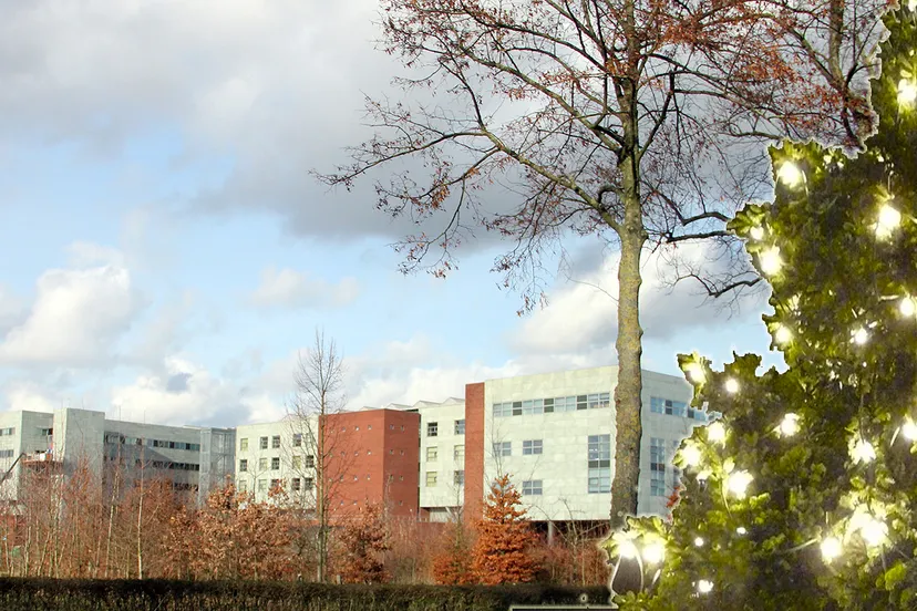 kerstboom zuyderlandziekenhuis sittard zuidoostzijde