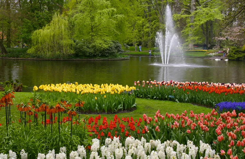 keukenhof alessandro vecchi cc by sa 30 https creativecommonsorglicensesby sa30