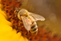 khvgxkwp91pph5vreilboa15h 124618