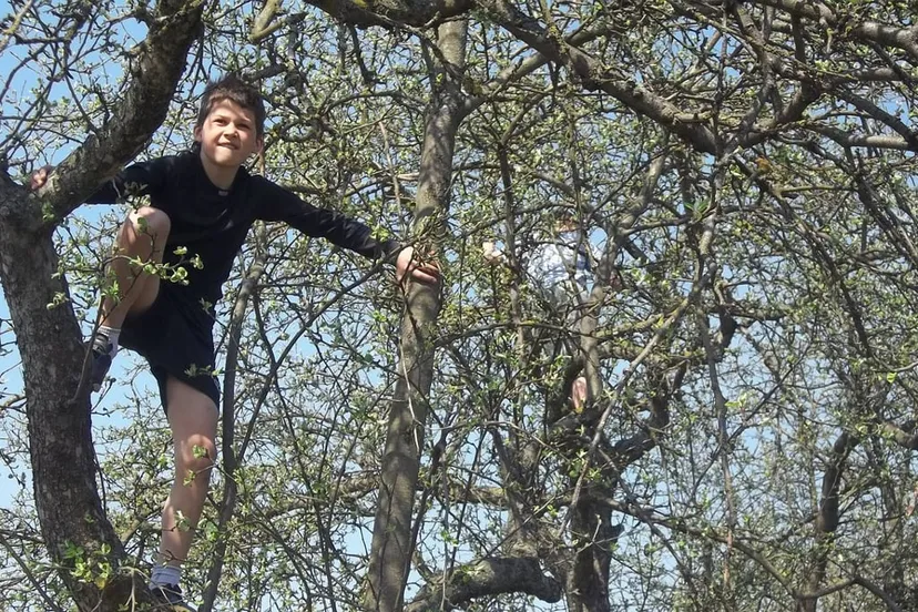 kind boom risico cc0 via pixabay