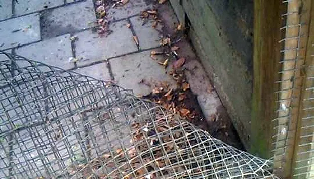 kinderboerderij stein voliere dieven