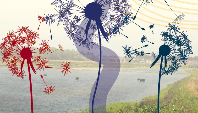 klankkluere uitsnede