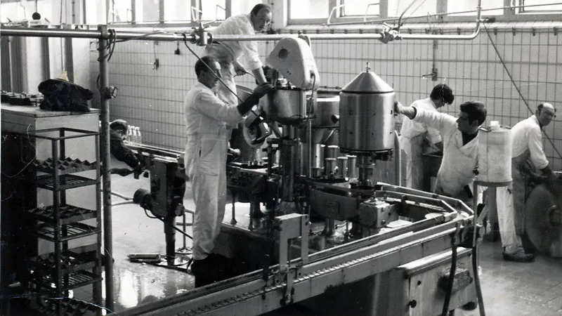 kninjgojfrul4md2wbsz0k19c sint rosa melkfabriek