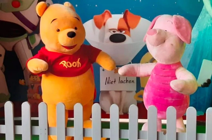 knorretje terug bij foroxity