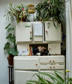 knso8dc64ce07frrm1yvus3ky 170094