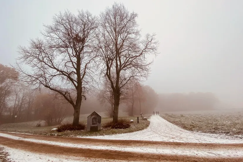 kollenberg 20221216 2