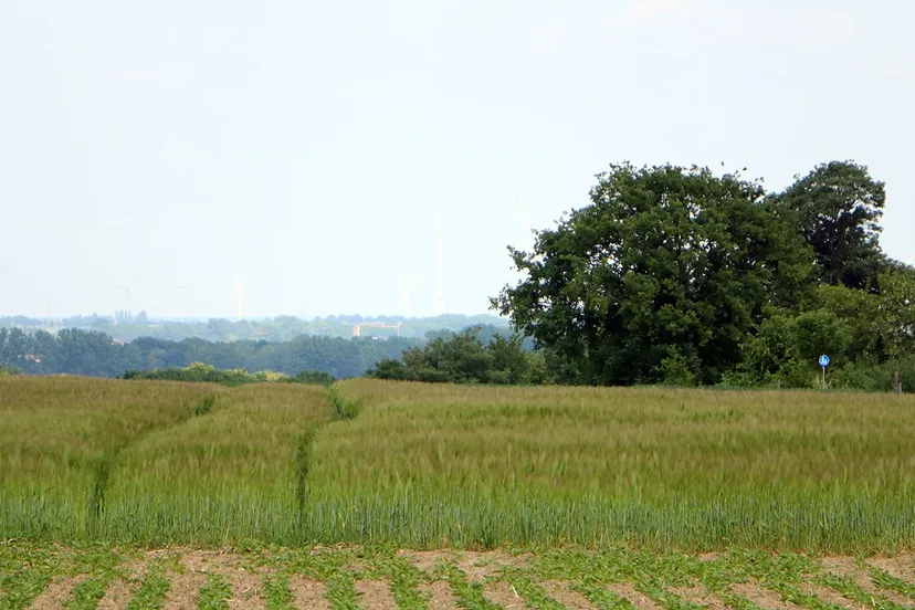 kollenberg sittard mei 2020