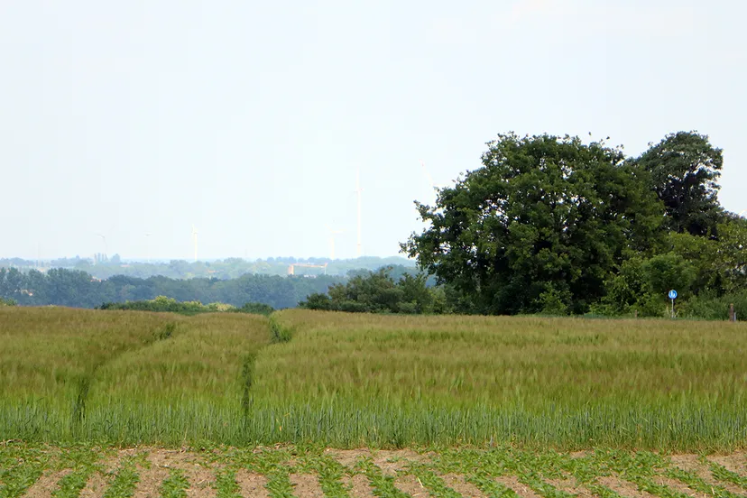 kollenberg sittard mei 2020