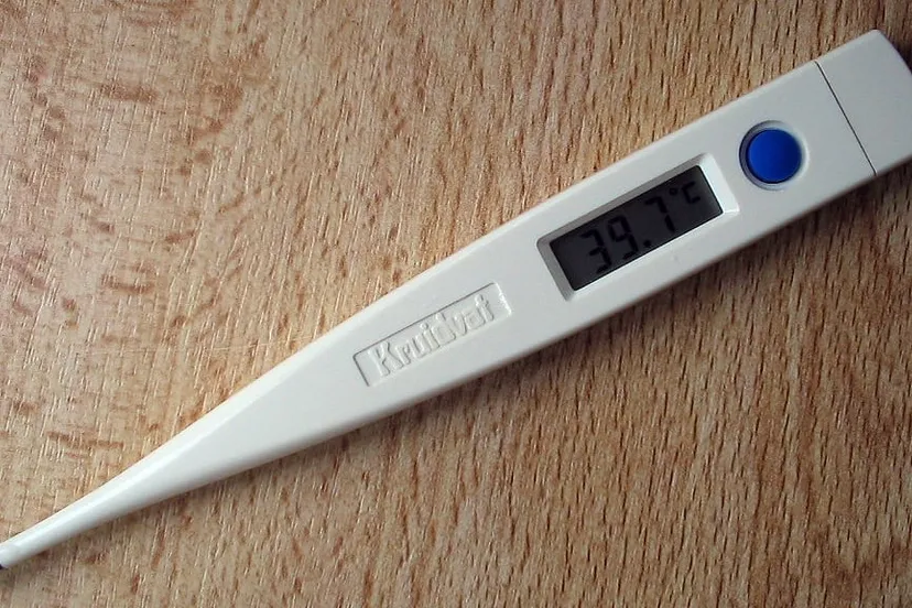 koortsthermometer michiel1972 cc by sa 30