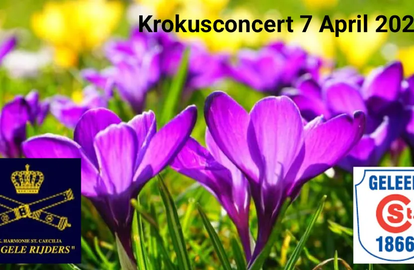 krokusconcert cecilia gele rijders hanenhof