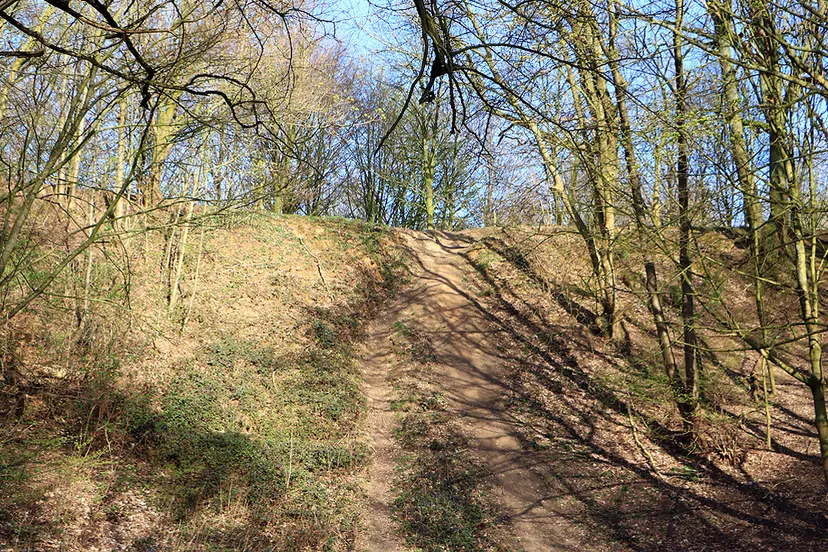 krombroodberg kogelvanger halfvasten 2020