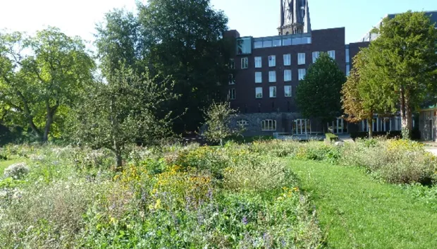 kruidentuin ursulinentuin