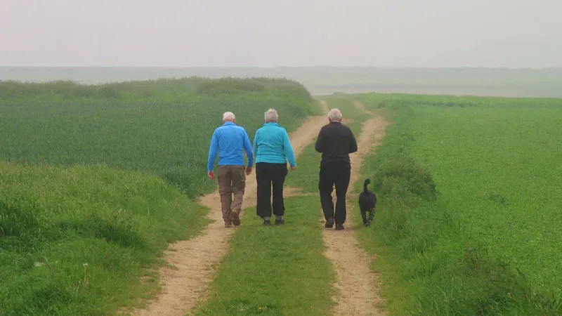 kuib8268ex1kk8z2z0uz57yt1 kollenberg22052012 2 16 9 wandelen met hond