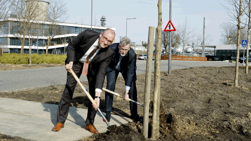 kyga33zu410xh8kx2ilzf9ov1 boomplanten chemelot groen