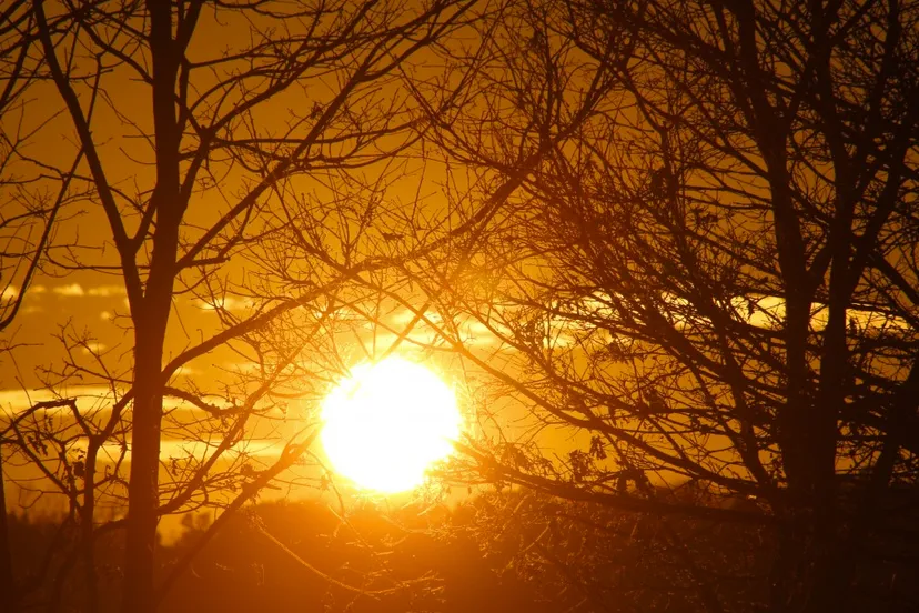 laagstaande zon cc0 pxhere