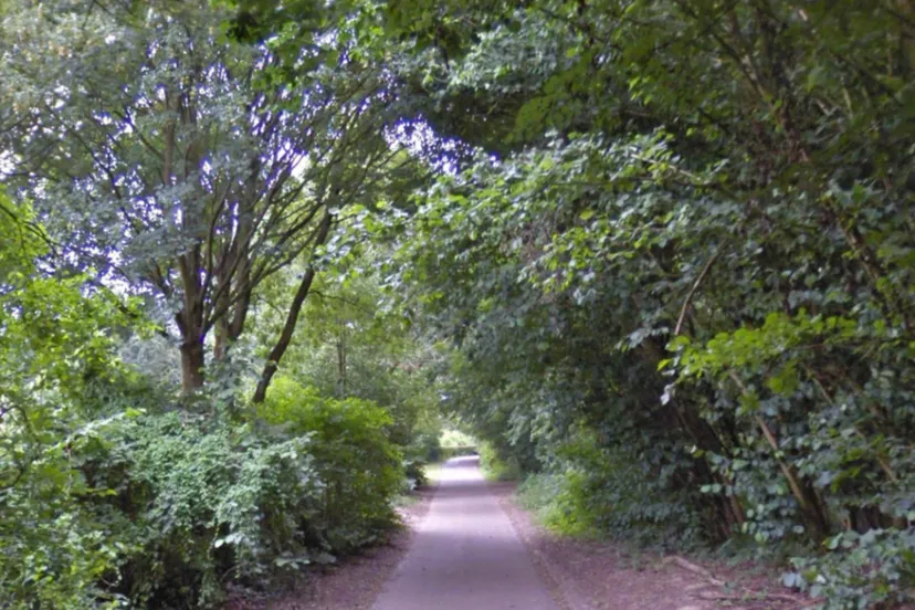 lahrstraat op de schop