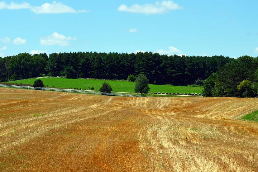 landbouwgrond foto quinn kampschroer cc0 pixabayfarmland 1556085 1280