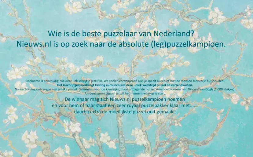 legpuzzelkampioen gezocht
