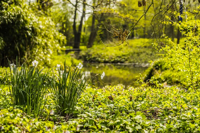 lente 2019 annet wagener