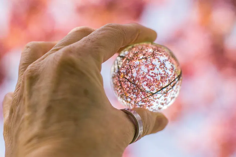 lente in het park 2019 1