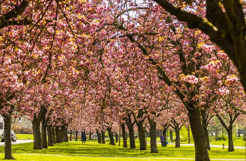 lente vijverweg sittard 2019 annet wagener