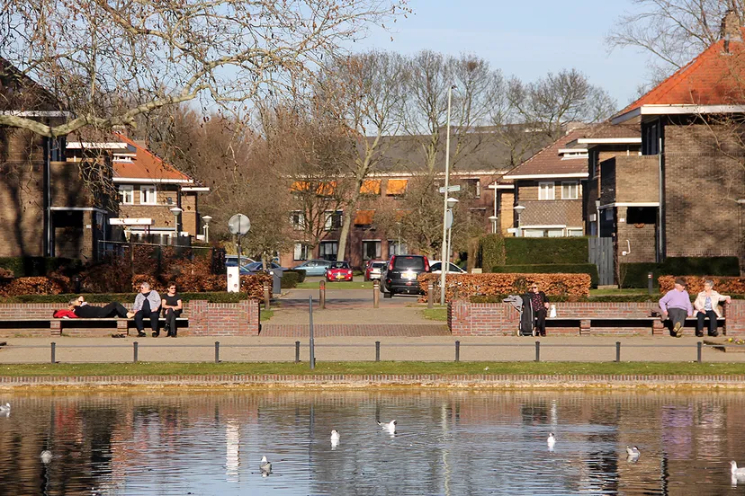 lentezonnetje in februari 2019