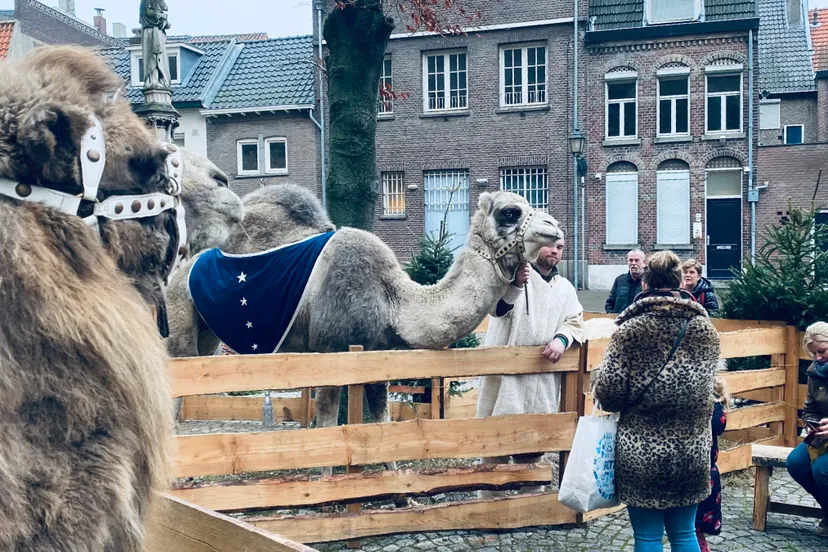 levende kerststal kerkplein 1