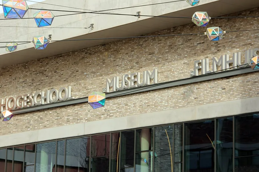 ligne filmhuis de domijnen