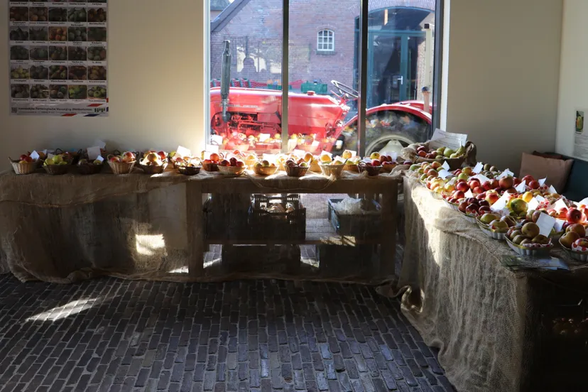 limburgse fruit determinatiedagenjpg