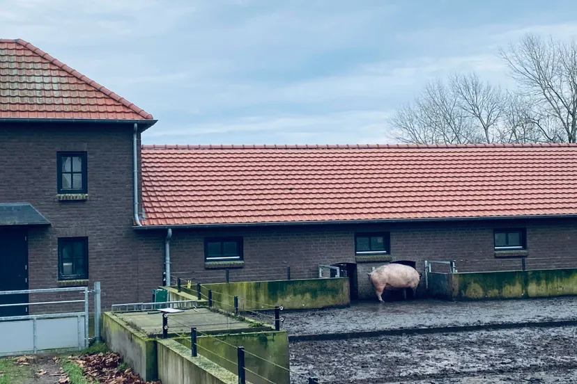 livar abdij lilbosch