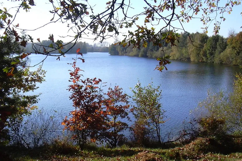 lmx3vqmjum8rktanq3l32cr1d effelder waldsee ivn wandeling