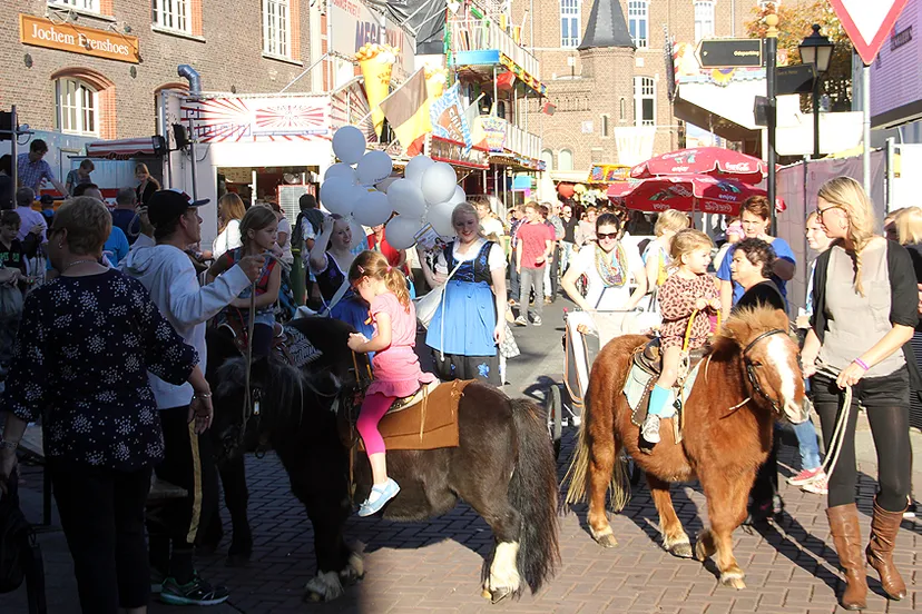 lz63z1o69enftmaset2hcq1nc kermis ponys
