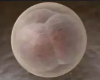 m004h7ktelxtvj7cvplvonug8 224205