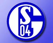 m2k00gbmuupab9n7zcgt7qwgk 88464