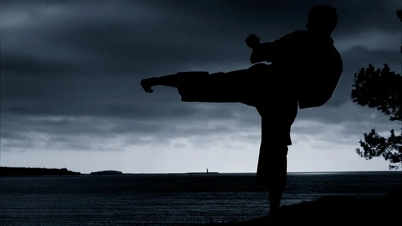 m35yjr0n87lhsinhictg3p6pm karate kid iguanasan cc by nc nd 2