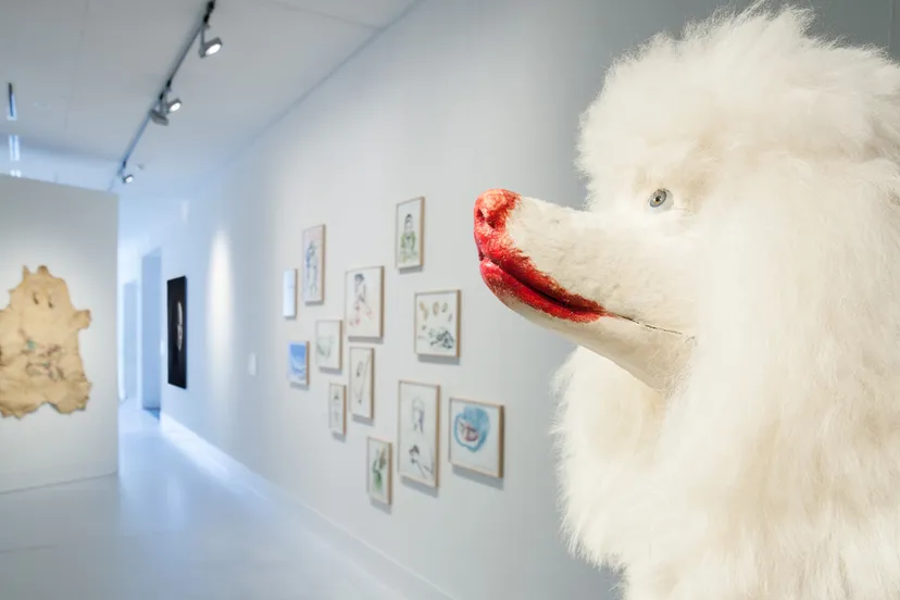 m4305rob nijpels poedel