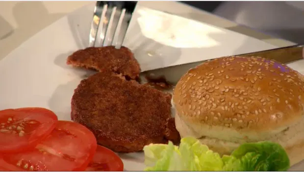 m56w988t7d6ublj9d81w6e7mf kweekhamburgerhqpersfotorechtenvrij