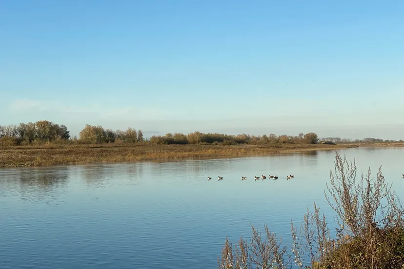 maas bij grevenbicht 23 november 2020 2