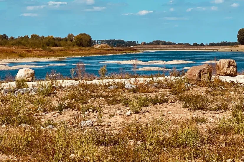 maas bij grevenbicht 8 augustus 2022 droogte 2