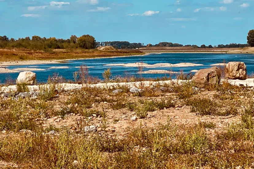 maas bij grevenbicht 8 augustus 2022 droogte 2