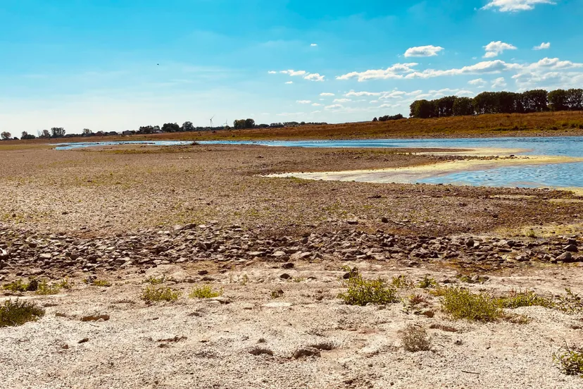 maas bij grevenbicht 8 augustus 2022 droogte
